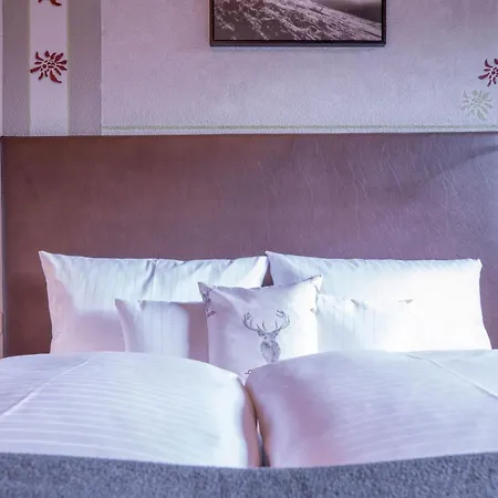 Patteriol Apart-hotel-garni 圣安东阿尔贝格