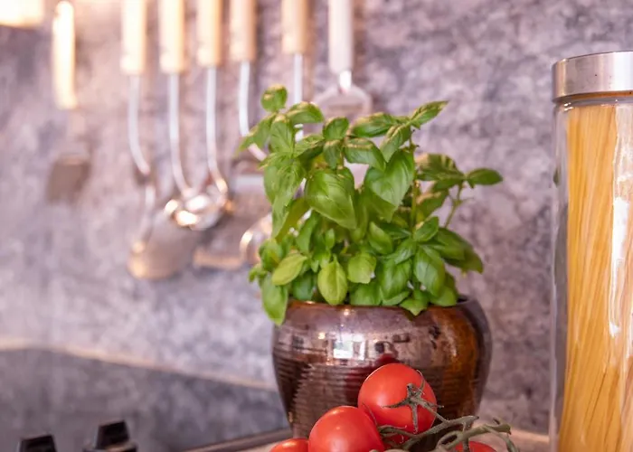 호텔 Patteriol Apart-hotel-garni 장크트안톤암아를베르크