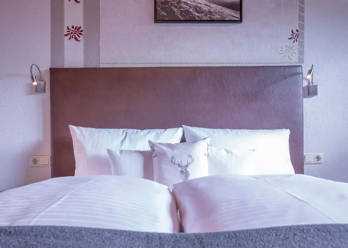 Patteriol Apart-hotel-garni 장크트안톤암아를베르크