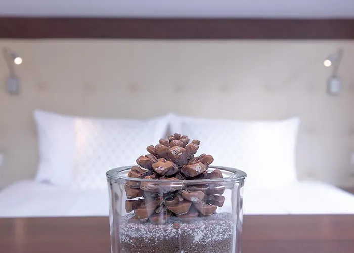 호텔 Patteriol Apart-hotel-garni 장크트안톤암아를베르크