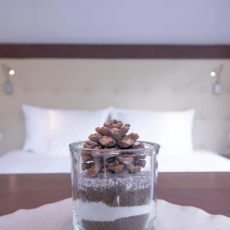 Ξενοδοχείο Patteriol Apart-hotel-garni Σανκτ Αντόν αμ Άλμπεργκ